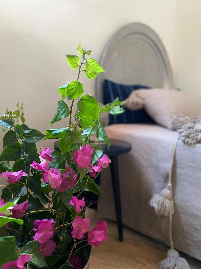 Riad Wabisabi Marrakesh