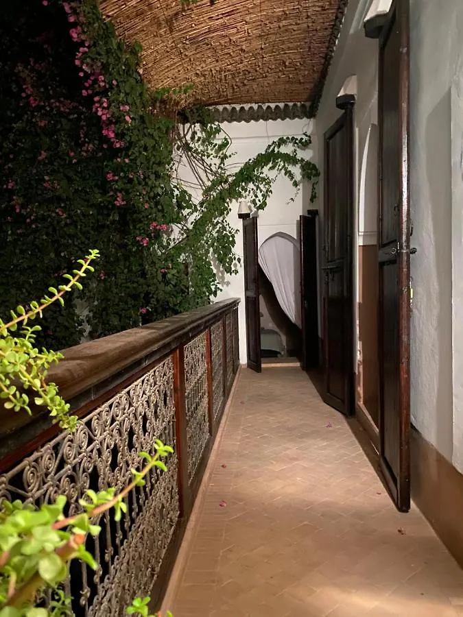 Riad Wabisabi Marrakesh